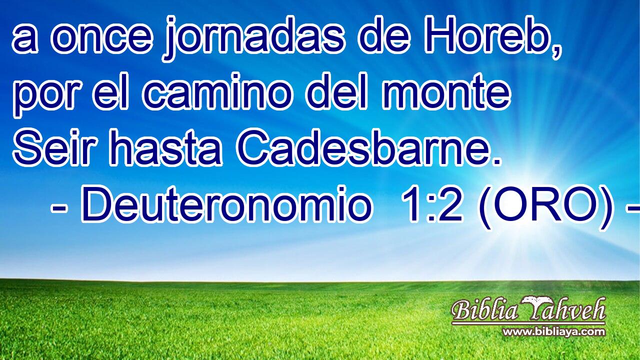  a once jornadas de Horeb, por el camino del monte Seir hasta Cadesbarne. 