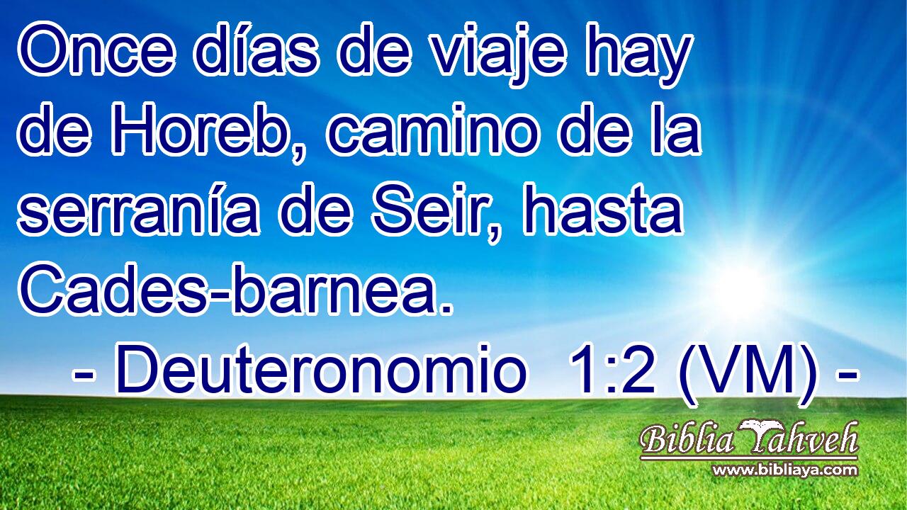  Once días de viaje hay de Horeb, camino de la serranía de Seir, hasta Cades-barnea. 
