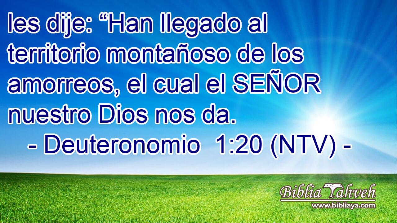 les dije: “Han llegado al territorio montañoso de los amorreos, el cual el SEÑOR nuestro Dios nos da.