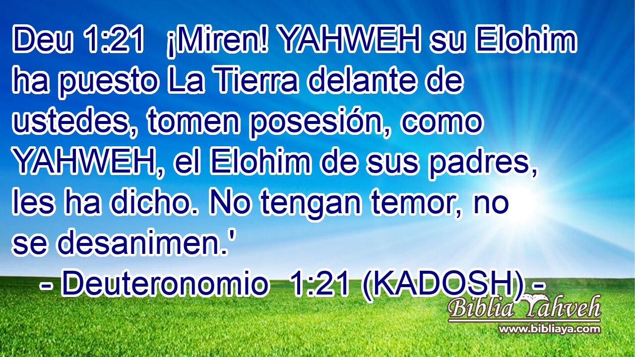 ¡Miren! YAHWEH su Elohim ha puesto La Tierra delante de ustedes, tomen posesión, como YAHWEH, el Elohim de sus padres, les ha dicho. No tengan temor, no se desanimen.' 