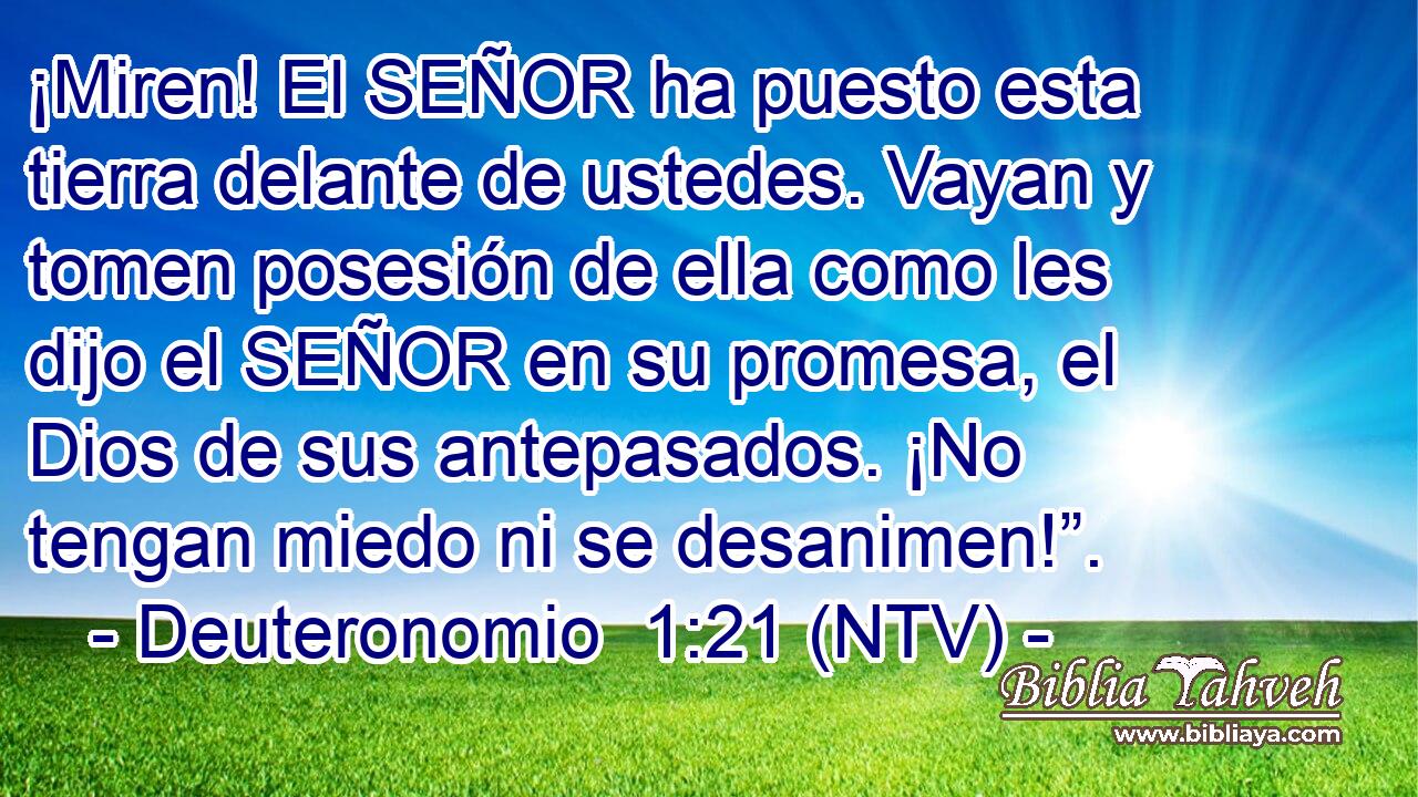 ¡Miren! El SEÑOR ha puesto esta tierra delante de ustedes. Vayan y tomen posesión de ella como les dijo el SEÑOR en su promesa, el Dios de sus antepasados. ¡No tengan miedo ni se desanimen!”.