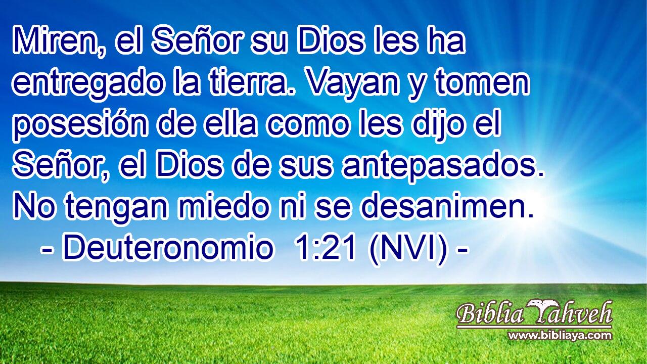  Miren, el Señor su Dios les ha entregado la tierra. Vayan y tomen posesión de ella como les dijo el Señor, el Dios de sus antepasados. No tengan miedo ni se desanimen. 