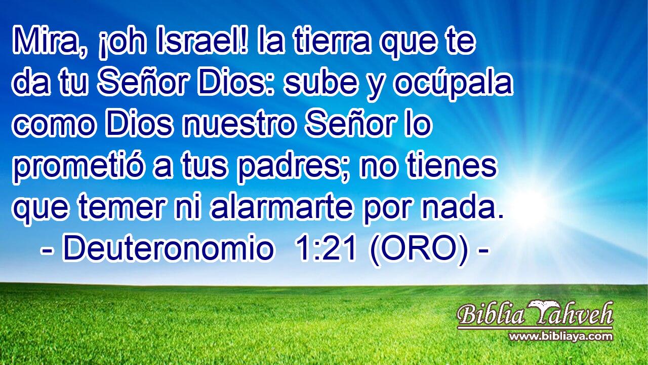  Mira, ¡oh Israel! la tierra que te da tu Señor Dios: sube y ocúpala como Dios nuestro Señor lo prometió a tus padres; no tienes que temer ni alarmarte por nada. 