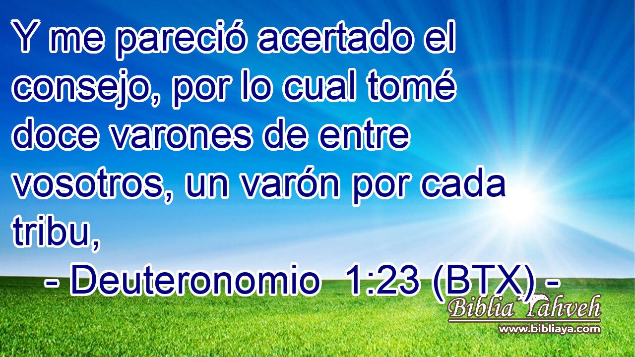 Y me pareció acertado el consejo, por lo cual tomé doce varones de entre vosotros, un varón por cada tribu,