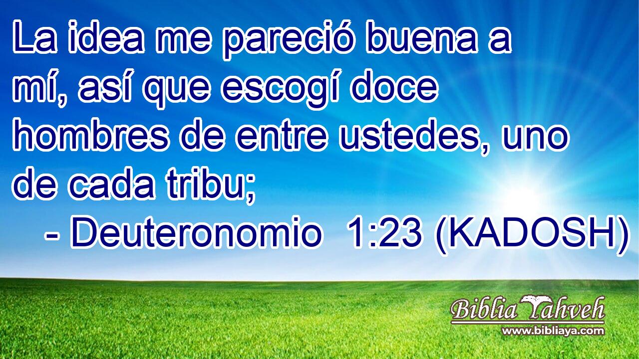  La idea me pareció buena a mí, así que escogí doce hombres de entre ustedes, uno de cada tribu; 