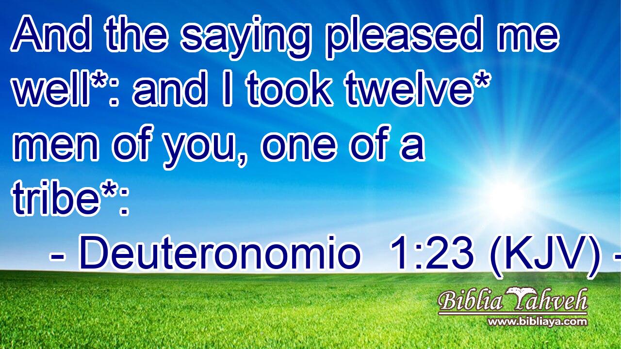 And the saying pleased me well*: and I took twelve* men of you, one of a tribe*: