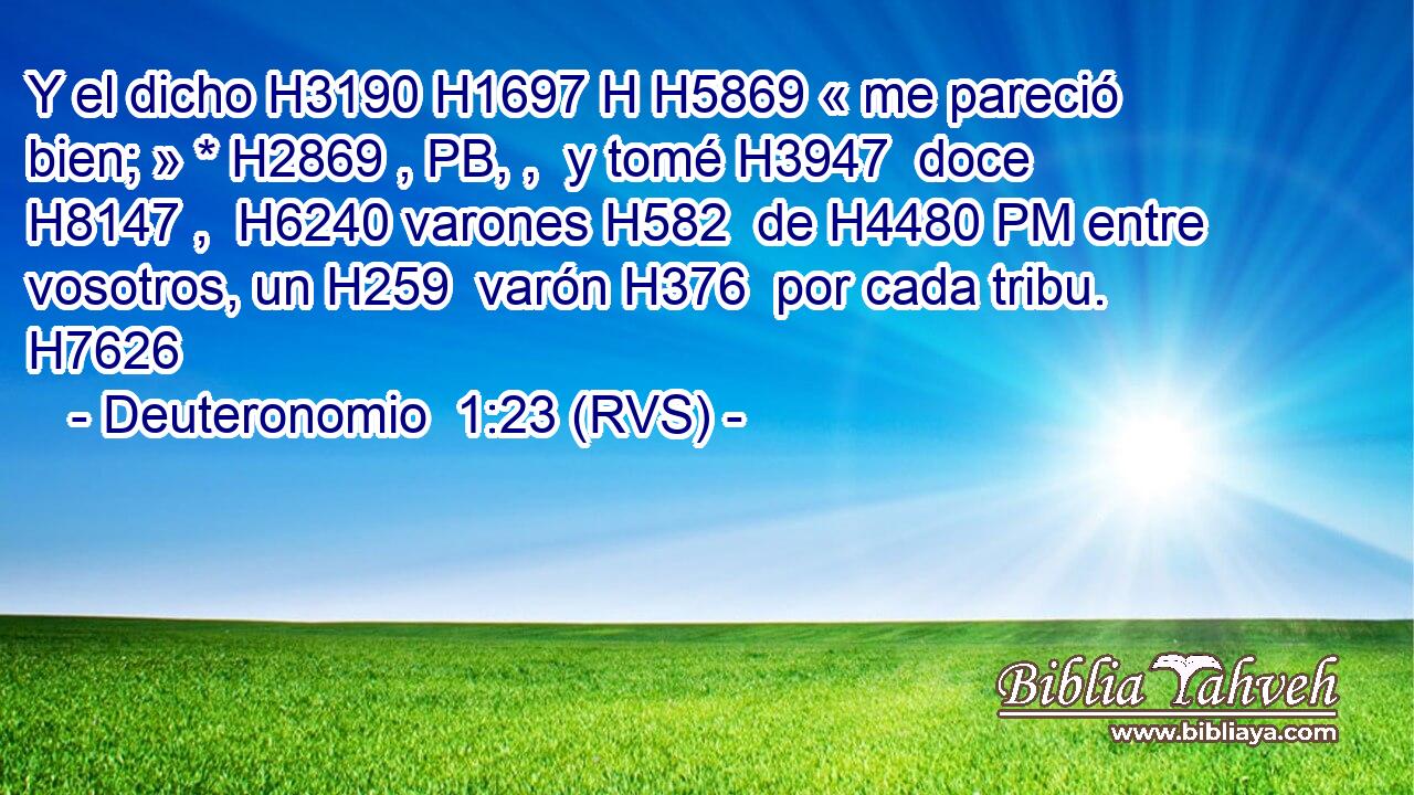 Y el dicho H3190 H1697 H H5869 « me pareció bien; » * H2869 , PB, ,  y tomé H3947  doce H8147 ,  H6240 varones H582  de H4480 PM entre vosotros, un H259  varón H376  por cada tribu. H7626  