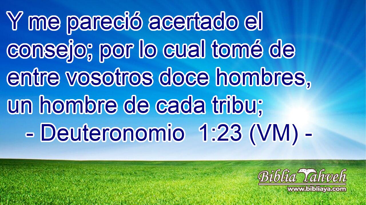  Y me pareció acertado el consejo; por lo cual tomé de entre vosotros doce hombres, un hombre de cada tribu; 