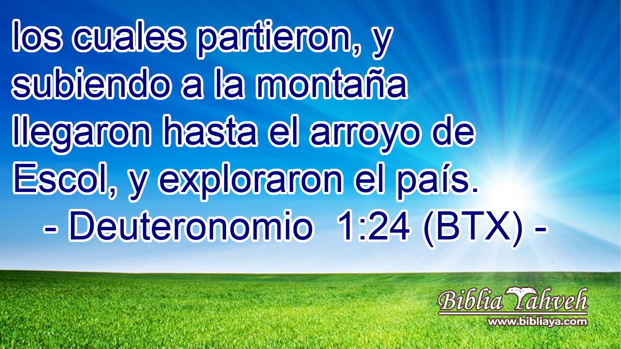 los cuales partieron, y subiendo a la montaña llegaron hasta el arroyo de Escol, y exploraron el país.