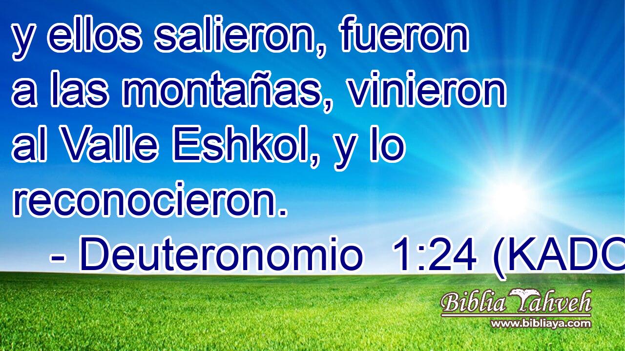  y ellos salieron, fueron a las montañas, vinieron al Valle Eshkol, y lo reconocieron. 