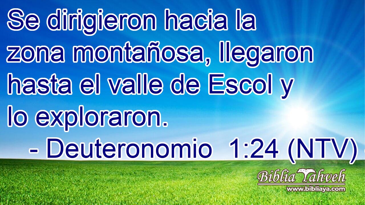 Se dirigieron hacia la zona montañosa, llegaron hasta el valle de Escol y lo exploraron.