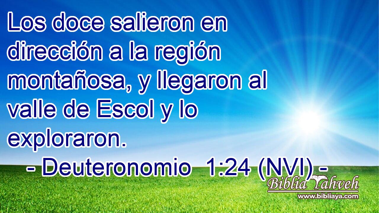  Los doce salieron en dirección a la región montañosa, y llegaron al valle de Escol y lo exploraron. 