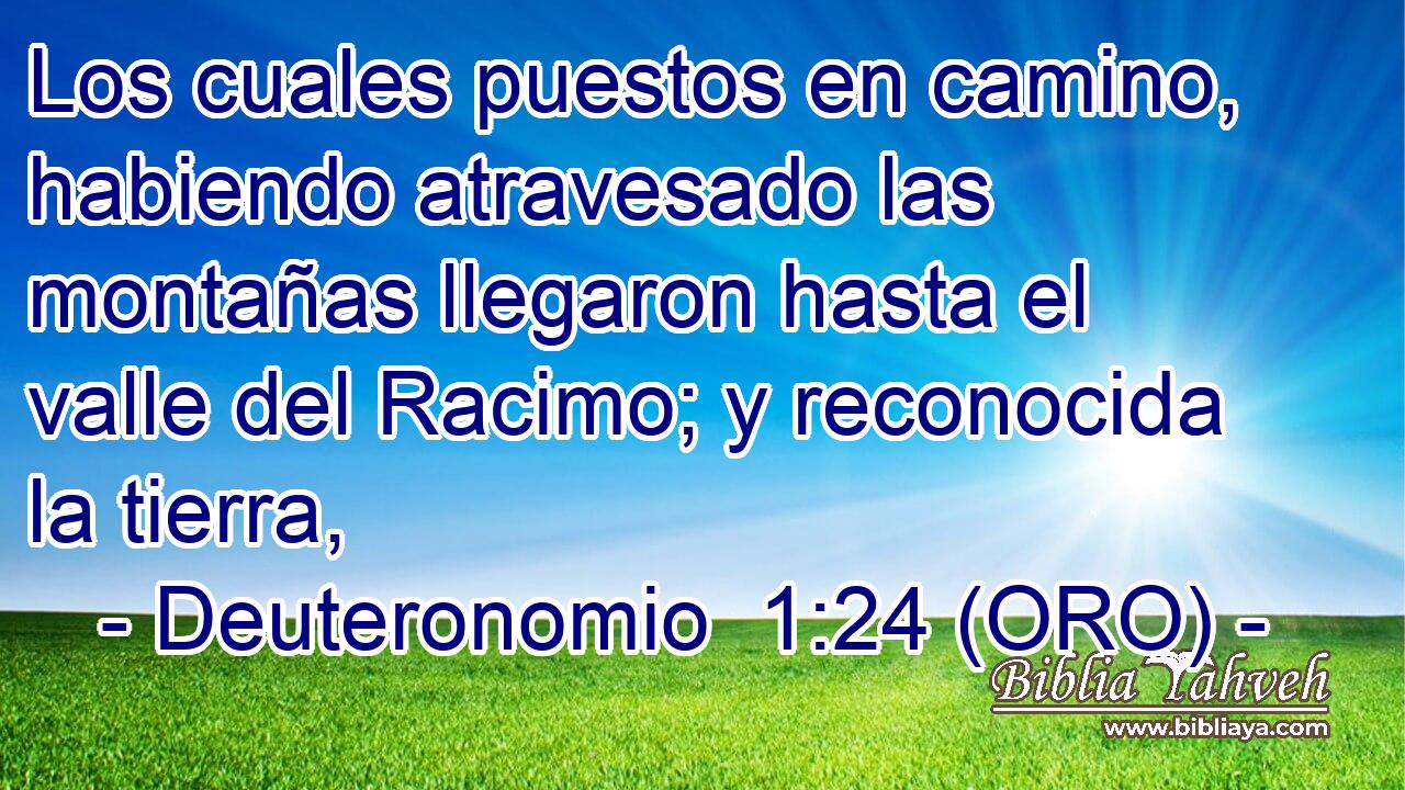 Los cuales puestos en camino, habiendo atravesado las montañas llegaron hasta el valle del Racimo; y reconocida la tierra, 