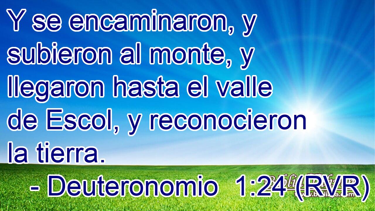 Y se encaminaron, y subieron al monte, y llegaron hasta el valle de Escol, y reconocieron la tierra.