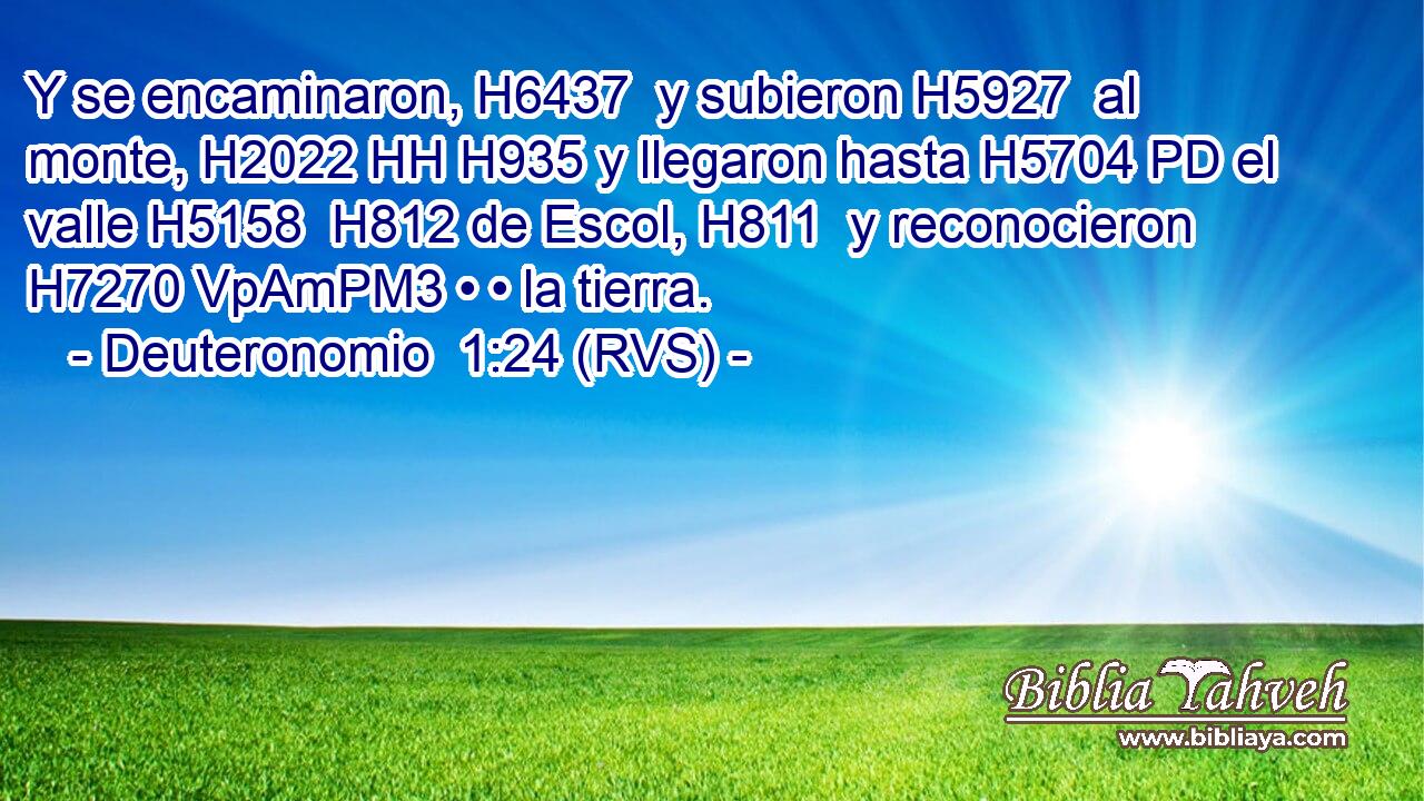 Y se encaminaron, H6437  y subieron H5927  al monte, H2022 HH H935 y llegaron hasta H5704 PD el valle H5158  H812 de Escol, H811  y reconocieron H7270 VpAmPM3 • • la tierra. 