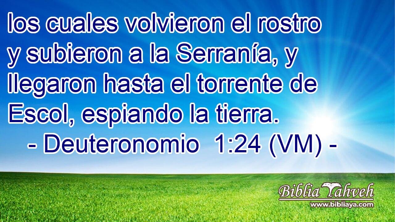  los cuales volvieron el rostro y subieron a la Serranía, y llegaron hasta el torrente de Escol, espiando la tierra. 