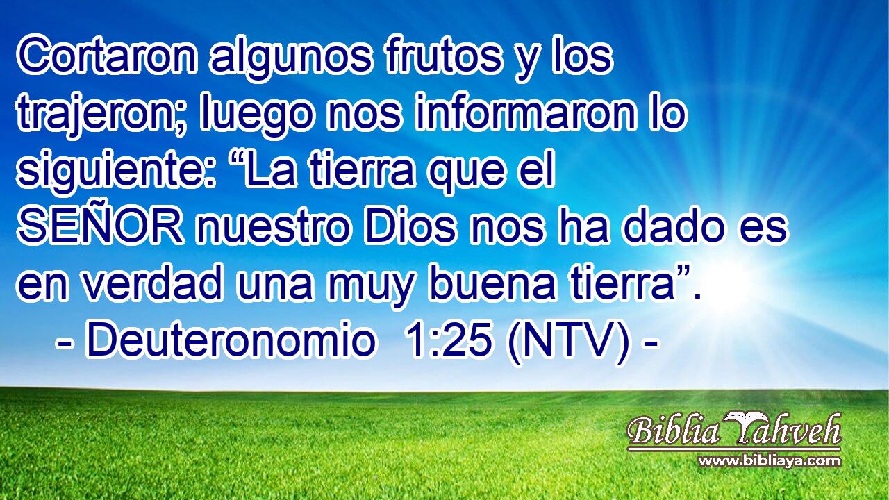 Cortaron algunos frutos y los trajeron; luego nos informaron lo siguiente: “La tierra que el SEÑOR nuestro Dios nos ha dado es en verdad una muy buena tierra”.