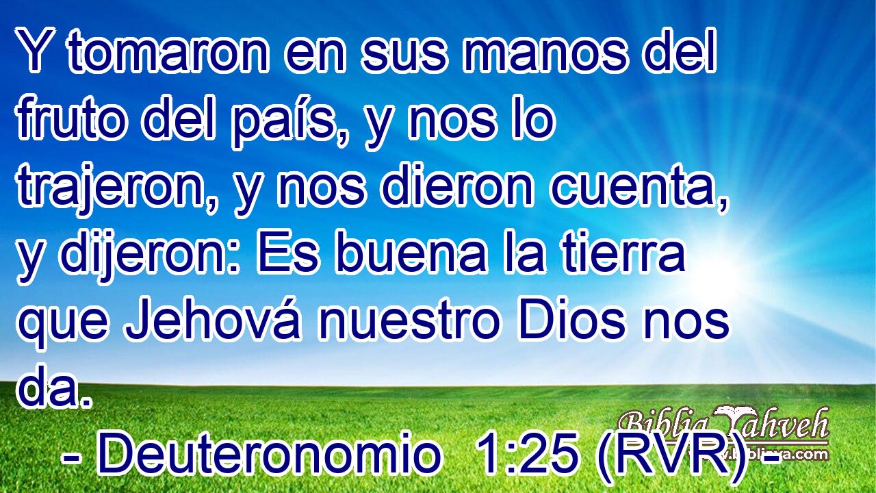 Y tomaron en sus manos del fruto del país, y nos lo trajeron, y nos dieron cuenta, y dijeron: Es buena la tierra que Jehová nuestro Dios nos da.