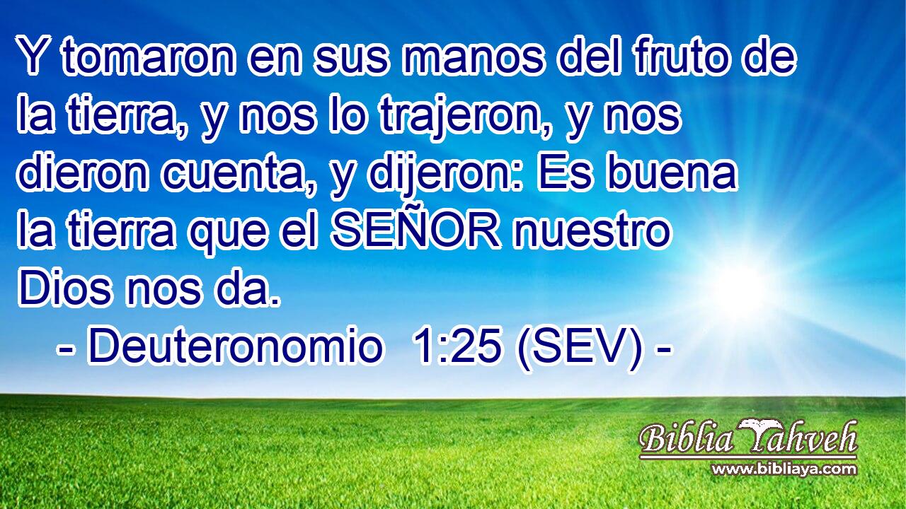 Y tomaron en sus manos del fruto de la tierra, y nos lo trajeron, y nos dieron cuenta, y dijeron: Es buena la tierra que el SEÑOR nuestro Dios nos da.