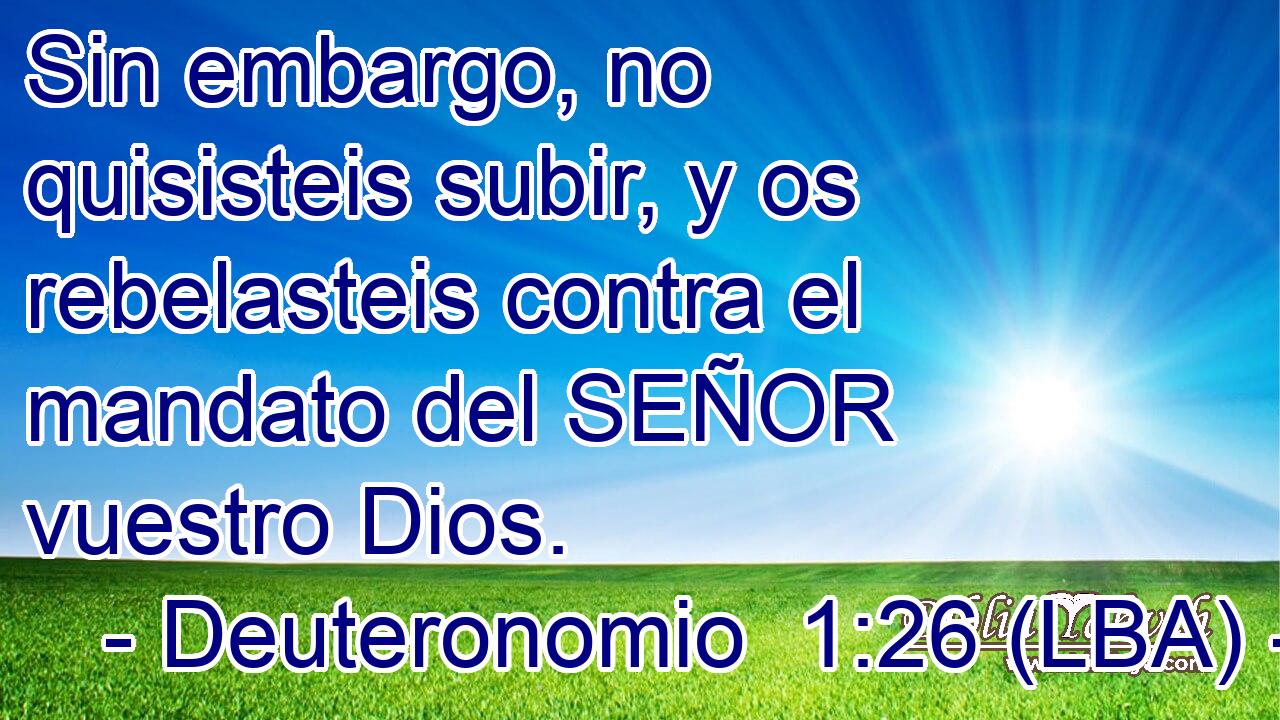 Sin embargo, no quisisteis subir, y os rebelasteis contra el mandato del SEÑOR vuestro Dios.