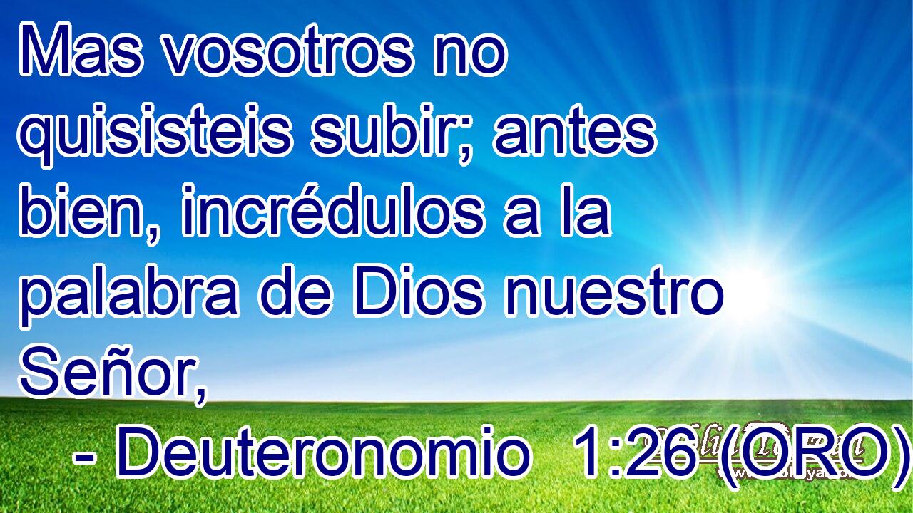  Mas vosotros no quisisteis subir; antes bien, incrédulos a la palabra de Dios nuestro Señor, 