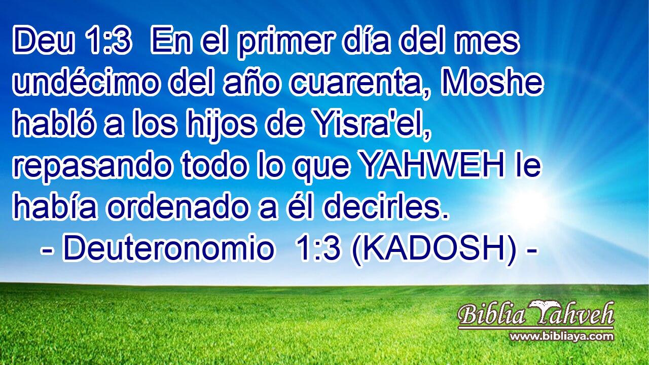  En el primer día del mes undécimo del año cuarenta, Moshe habló a los hijos de Yisra'el, repasando todo lo que YAHWEH le había ordenado a él decirles. 