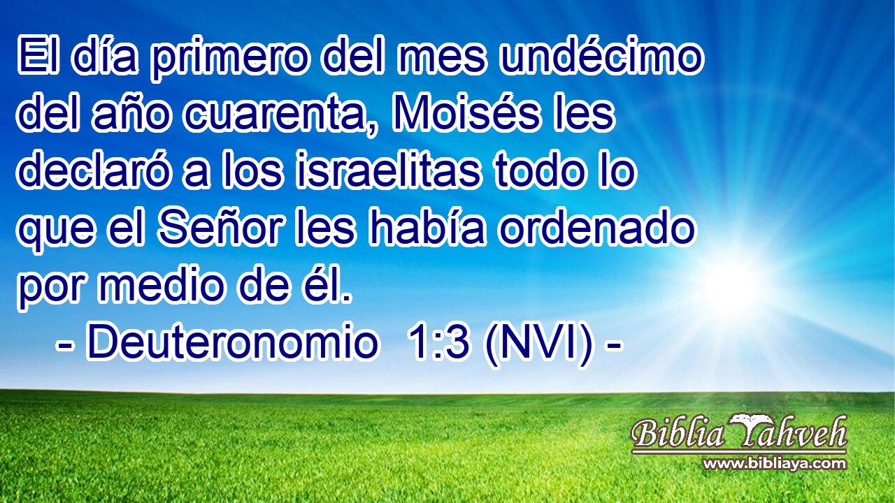  El día primero del mes undécimo del año cuarenta, Moisés les declaró a los israelitas todo lo que el Señor les había ordenado por medio de él. 