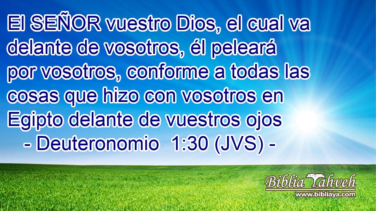 El SEÑOR vuestro Dios, el cual va delante de vosotros, él peleará por vosotros, conforme a todas las cosas que hizo con vosotros en Egipto delante de vuestros ojos