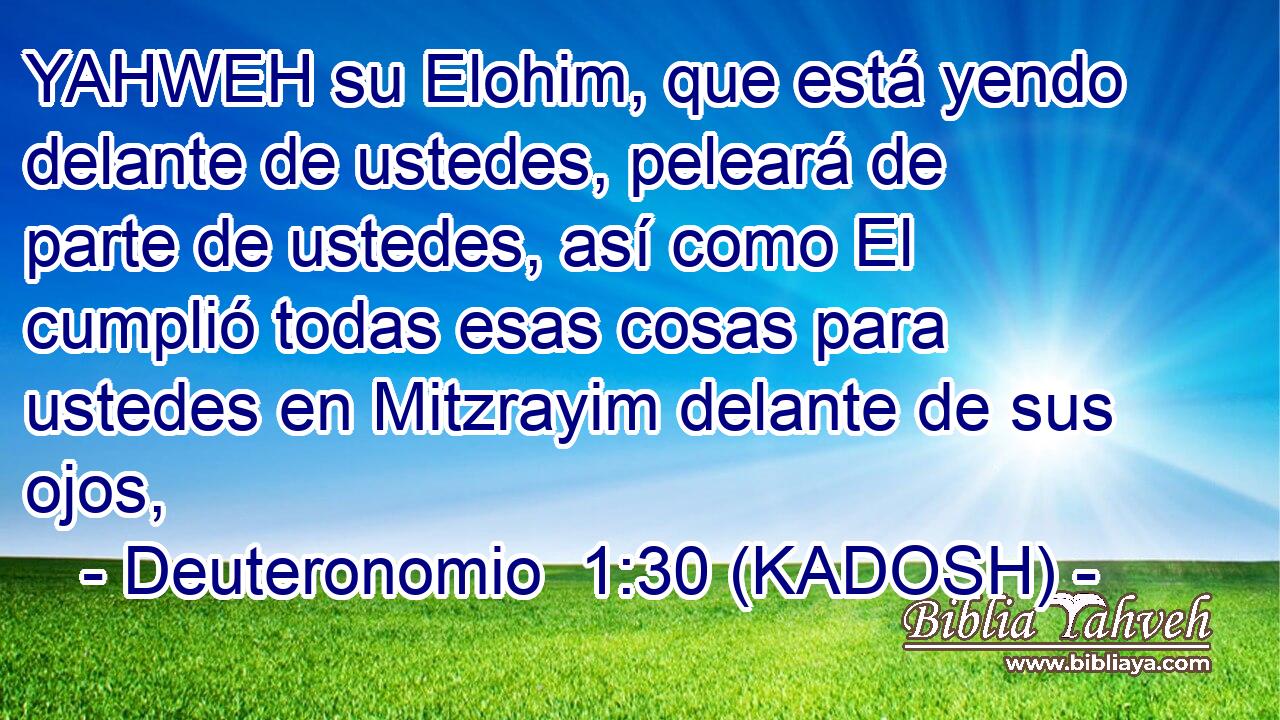 YAHWEH su Elohim, que está yendo delante de ustedes, peleará de parte de ustedes, así como El cumplió todas esas cosas para ustedes en Mitzrayim delante de sus ojos, 