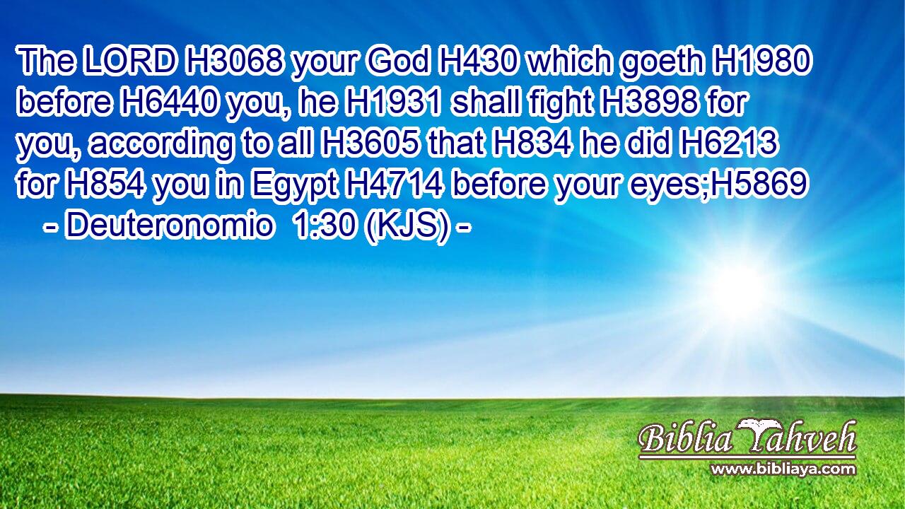 The LORD H3068 your God H430 which goeth H1980 before H6440 you, he H1931 shall fight H3898 for you, according to all H3605 that H834 he did H6213 for H854 you in Egypt H4714 before your eyes;H5869