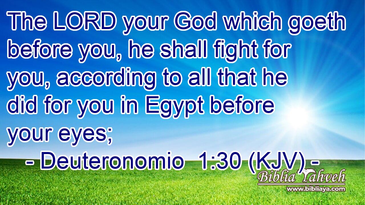 The LORD your God which goeth before you, he shall fight for you, according to all that he did for you in Egypt before your eyes;