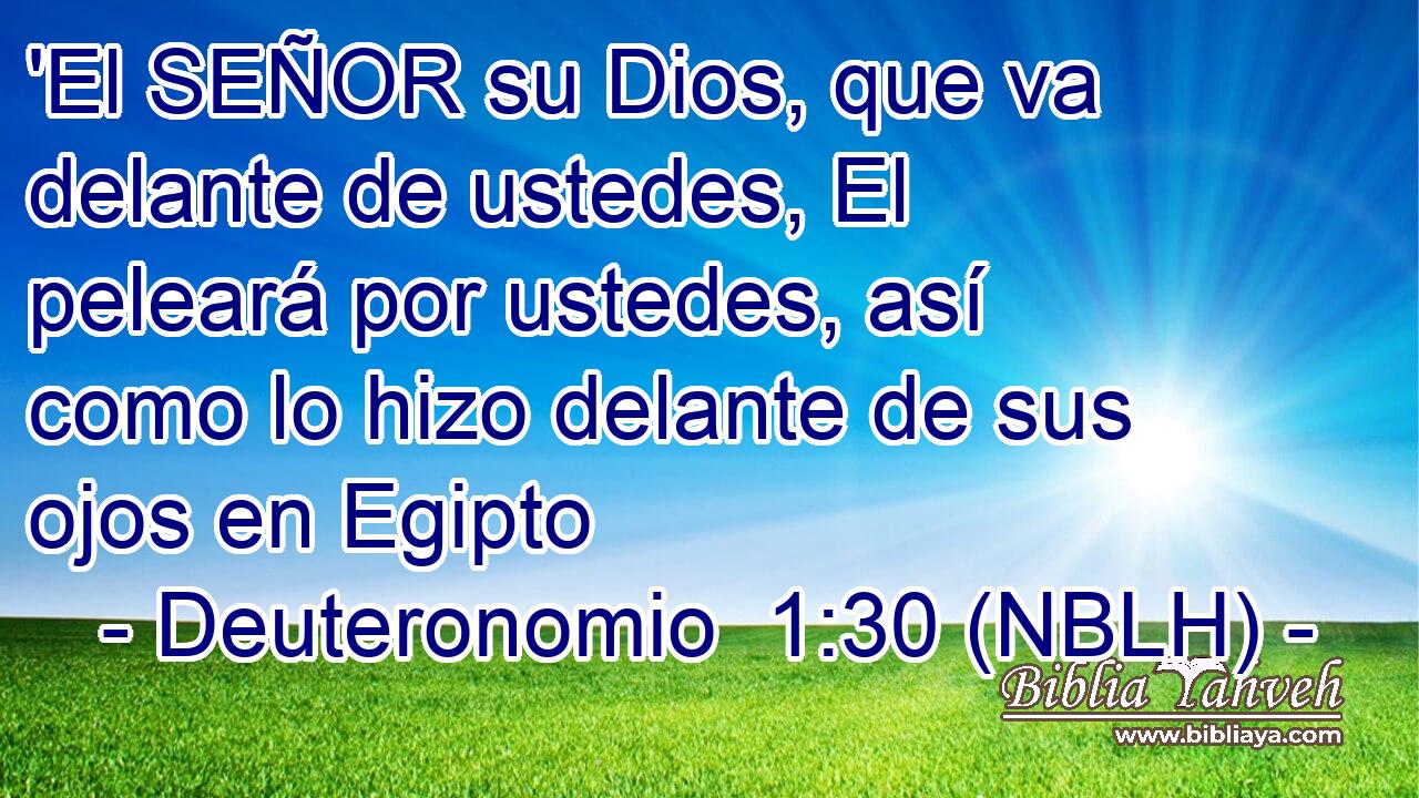  'El SEÑOR su Dios, que va delante de ustedes, El peleará por ustedes, así como lo hizo delante de sus ojos en Egipto 