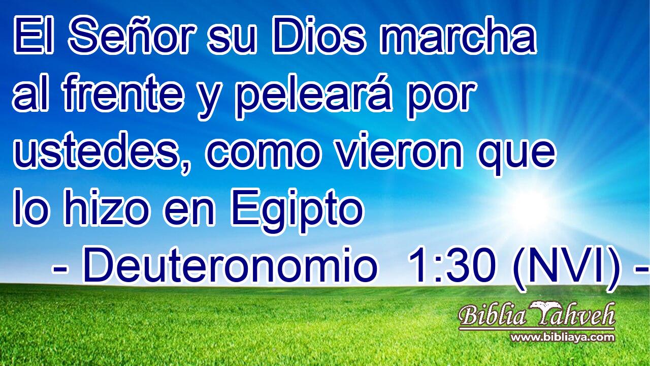  El Señor su Dios marcha al frente y peleará por ustedes, como vieron que lo hizo en Egipto 