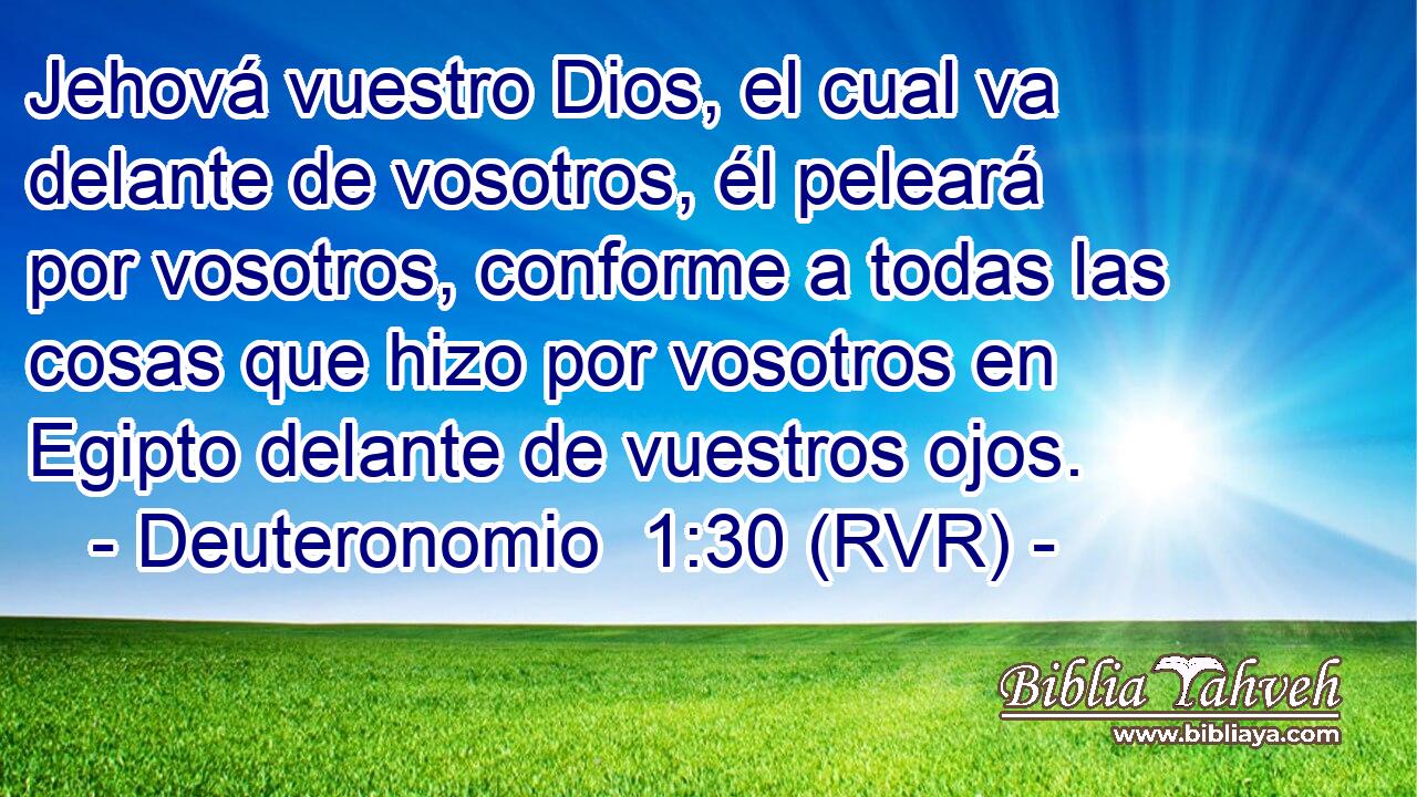 Jehová vuestro Dios, el cual va delante de vosotros, él peleará por vosotros, conforme a todas las cosas que hizo por vosotros en Egipto delante de vuestros ojos.