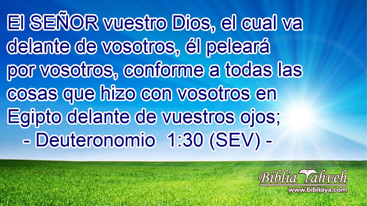 El SEÑOR vuestro Dios, el cual va delante de vosotros, él peleará por vosotros, conforme a todas las cosas que hizo con vosotros en Egipto delante de vuestros ojos;