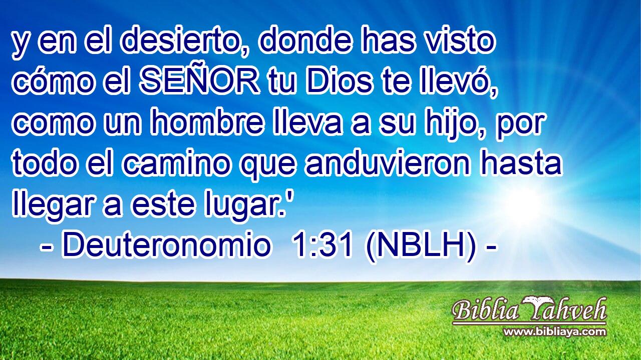  y en el desierto, donde has visto cómo el SEÑOR tu Dios te llevó, como un hombre lleva a su hijo, por todo el camino que anduvieron hasta llegar a este lugar.' 