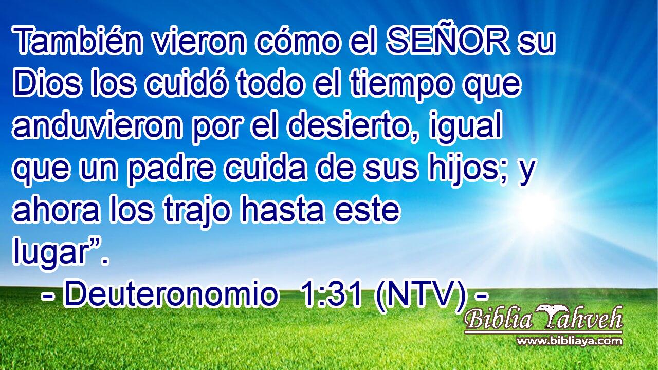 También vieron cómo el SEÑOR su Dios los cuidó todo el tiempo que anduvieron por el desierto, igual que un padre cuida de sus hijos; y ahora los trajo hasta este lugar”.