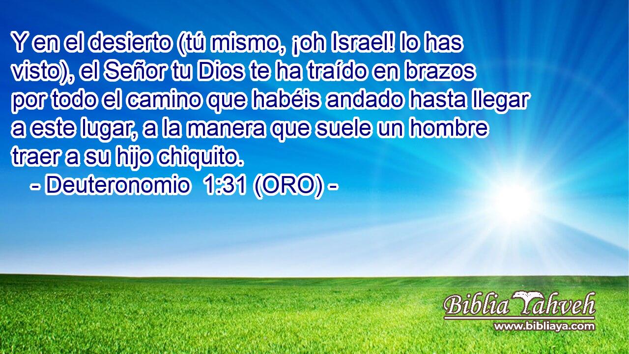  Y en el desierto (tú mismo, ¡oh Israel! lo has visto), el Señor tu Dios te ha traído en brazos por todo el camino que habéis andado hasta llegar a este lugar, a la manera que suele un hombre traer a su hijo chiquito. 