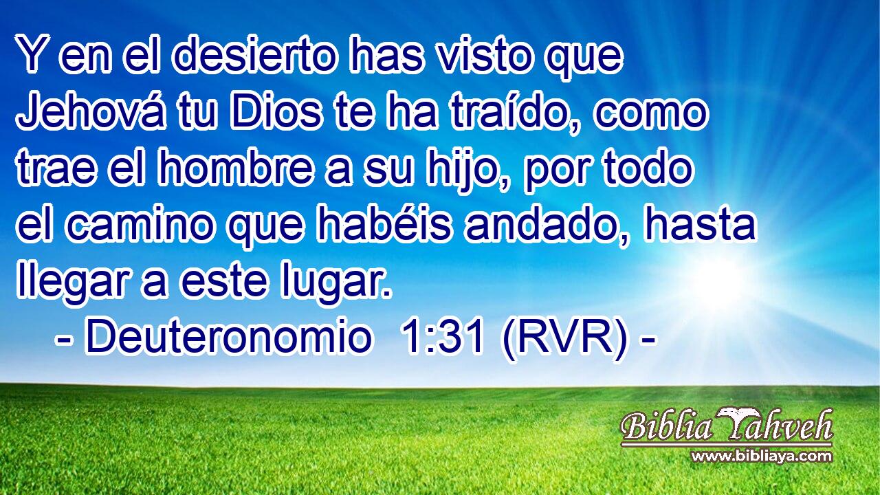 Y en el desierto has visto que Jehová tu Dios te ha traído, como trae el hombre a su hijo, por todo el camino que habéis andado, hasta llegar a este lugar.