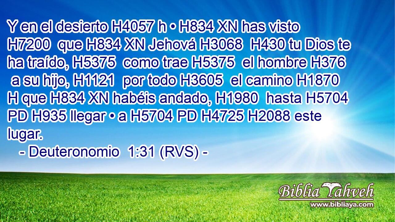 Y en el desierto H4057 h • H834 XN has visto H7200  que H834 XN Jehová H3068  H430 tu Dios te ha traído, H5375  como trae H5375  el hombre H376  a su hijo, H1121  por todo H3605  el camino H1870 H que H834 XN habéis andado, H1980  hasta H5704 PD H935 llegar • a H5704 PD H4725 H2088 este lugar. 