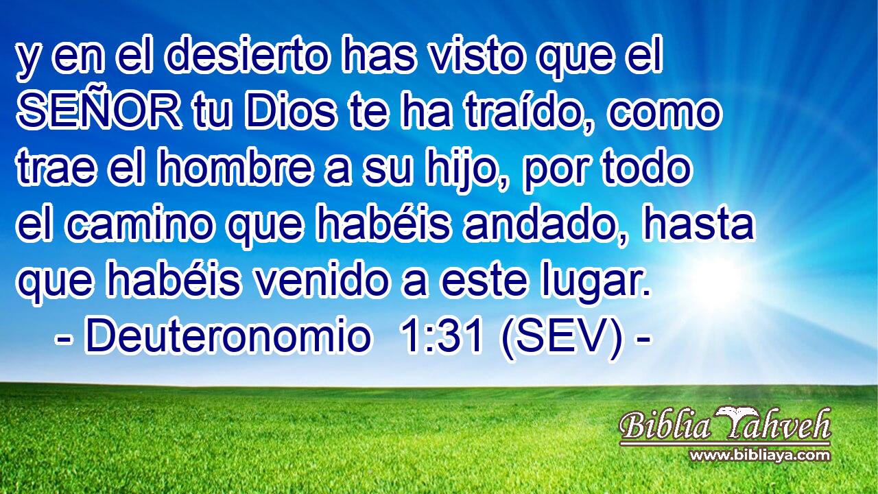 y en el desierto has visto que el SEÑOR tu Dios te ha traído, como trae el hombre a su hijo, por todo el camino que habéis andado, hasta que habéis venido a este lugar.