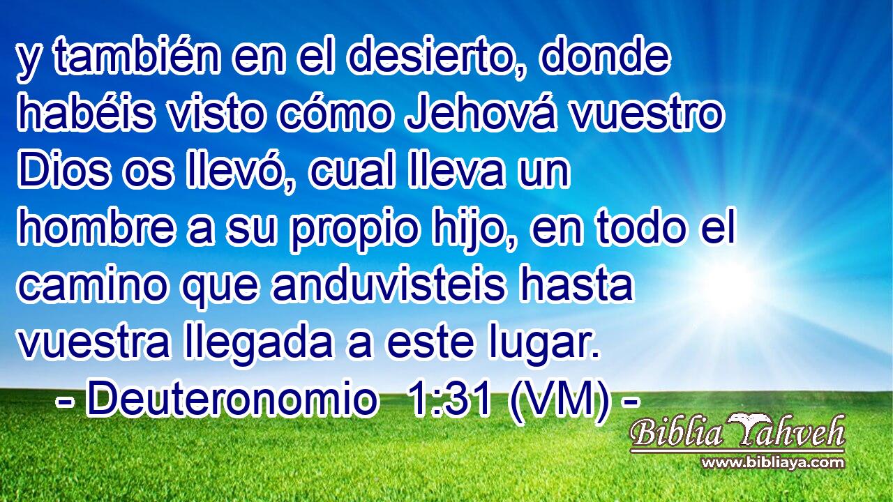  y también en el desierto, donde habéis visto cómo Jehová vuestro Dios os llevó, cual lleva un hombre a su propio hijo, en todo el camino que anduvisteis hasta vuestra llegada a este lugar. 