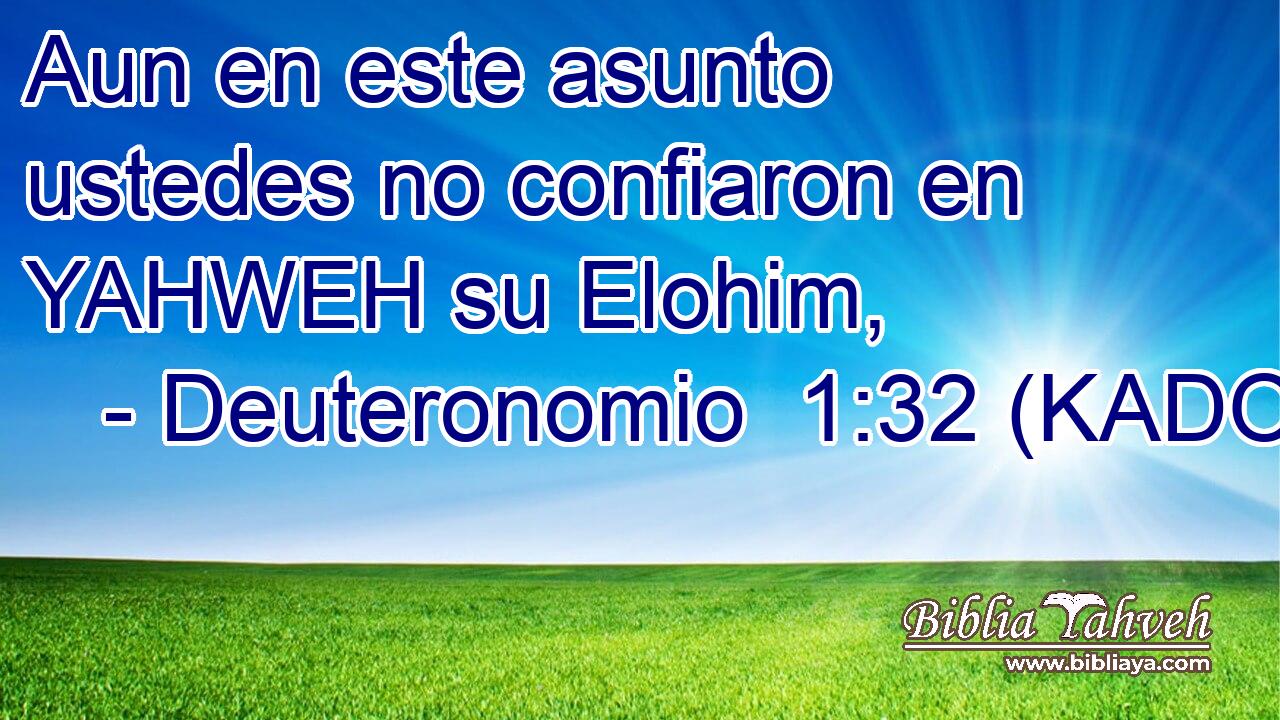  Aun en este asunto ustedes no confiaron en YAHWEH su Elohim, 