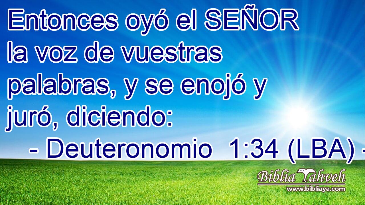 Entonces oyó el SEÑOR la voz de vuestras palabras, y se enojó y juró, diciendo:
