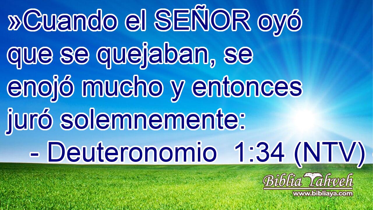 »Cuando el SEÑOR oyó que se quejaban, se enojó mucho y entonces juró solemnemente: