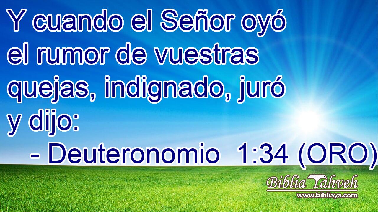  Y cuando el Señor oyó el rumor de vuestras quejas, indignado, juró y dijo: 
