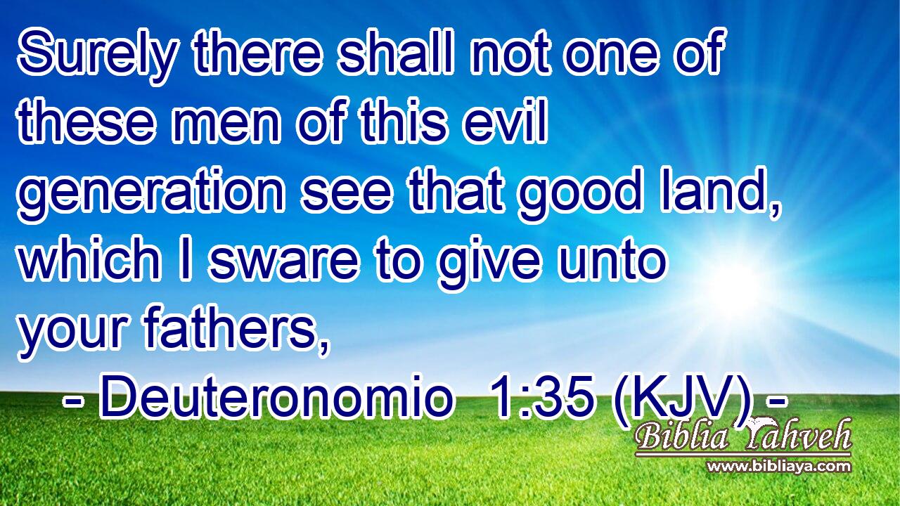 Surely there shall not one of these men of this evil generation see that good land, which I sware to give unto your fathers,