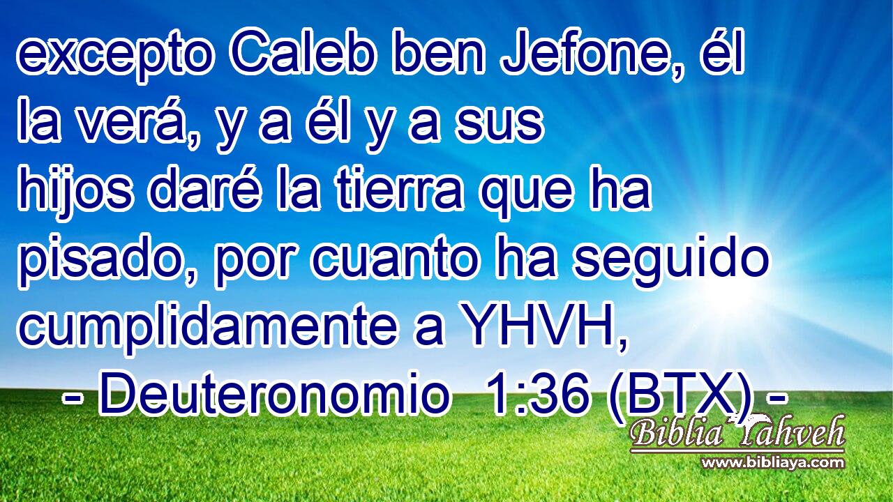 excepto Caleb ben Jefone, él la verá, y a él y a sus hijos daré la tierra que ha pisado, por cuanto ha seguido cumplidamente a YHVH,