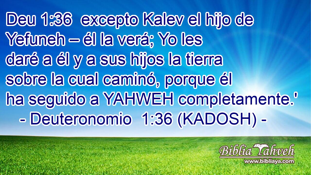  excepto Kalev el hijo de Yefuneh – él la verá; Yo les daré a él y a sus hijos la tierra sobre la cual caminó, porque él ha seguido a YAHWEH completamente.' 