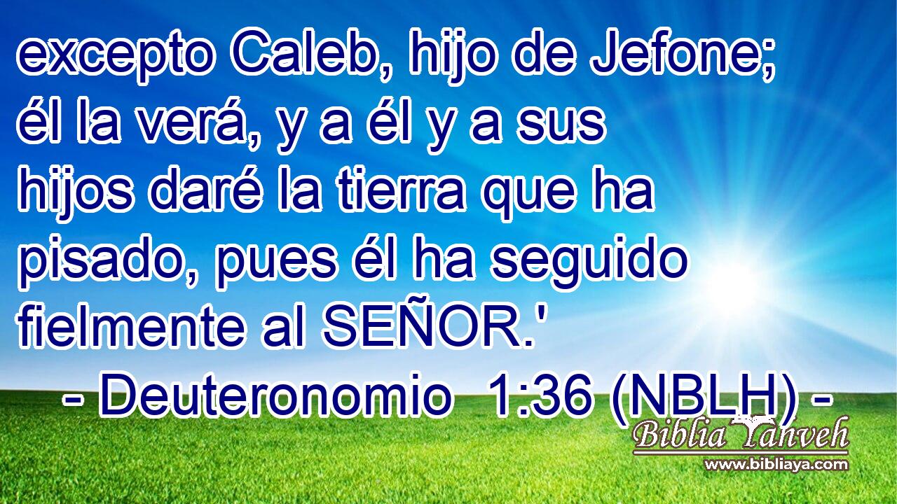  excepto Caleb, hijo de Jefone; él la verá, y a él y a sus hijos daré la tierra que ha pisado, pues él ha seguido fielmente al SEÑOR.' 